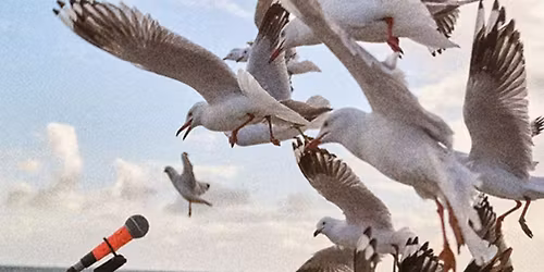 Fremantle Biennale 2025 - Homeschool  Day