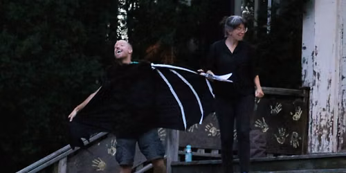 Bat Night in High Park 