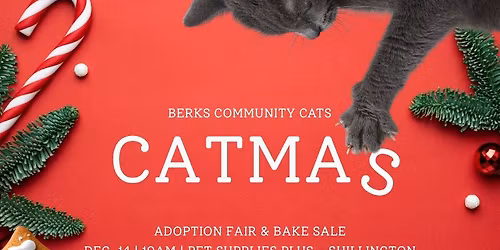 Catmas Adoption Fair & Bake Sale