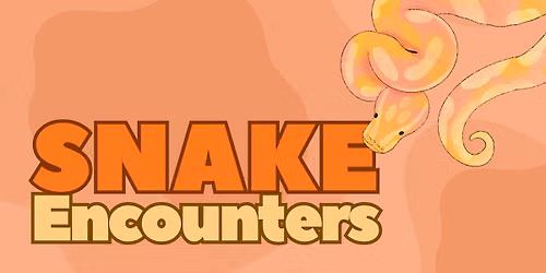 Snake Encounters