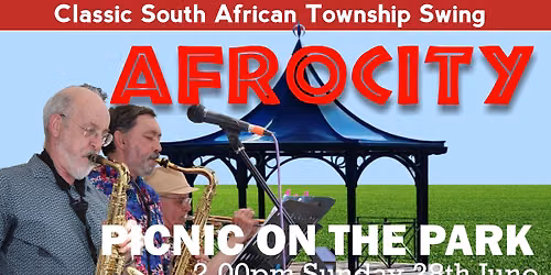 AFROCITY - Picnic on the Park 