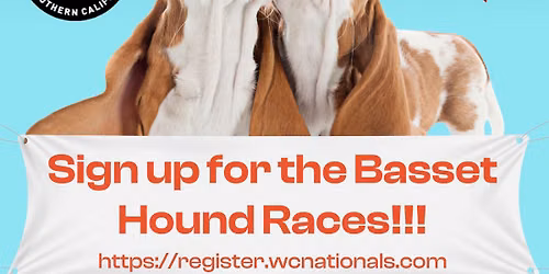 Basset Races