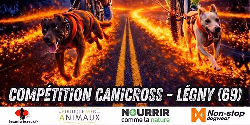 Canicross "Back To The Flach\u00e8re"