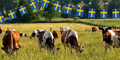 Nationaldagskonsert