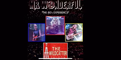 MR. WONDERFUL-THE NEW YEAR'S EVE 80'S EXPERIENCE