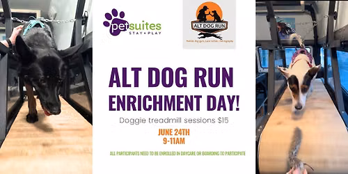 ALT Dog Run Enrichment Day!