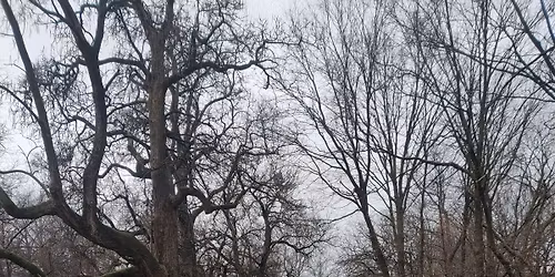 2026 Running for a Fuller Life