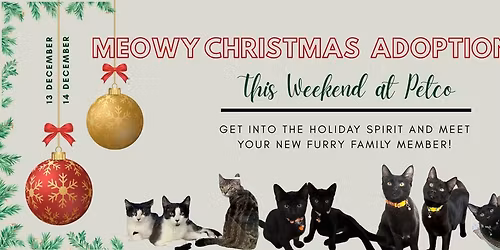 Meowy Christmas Adoption Event at Petco
