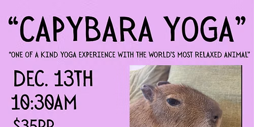 CAPYBARA YOGA EXPERIENCE!!!