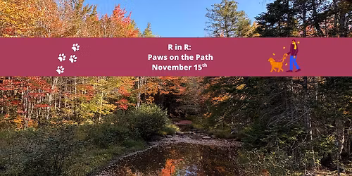 R in R: Paws on the Path 