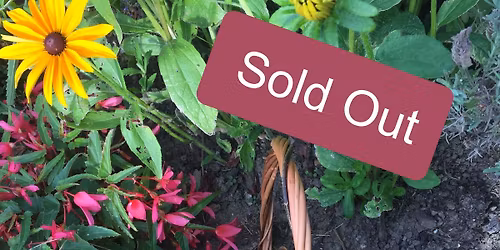 CARMARTHEN - Garden Trug Willow Workshop