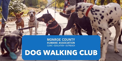 MCHA Dog Walking Club