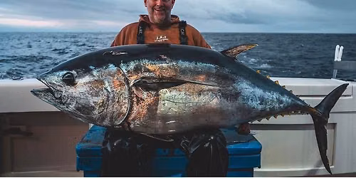 Bluefin Tuna Seminar Night