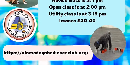 Competition Obedience classes