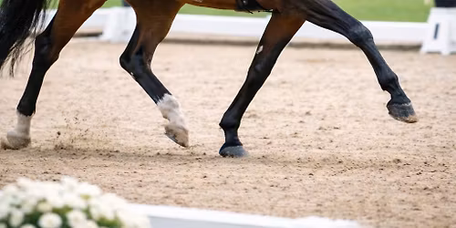 Regionalne i Towarzyskie Zawody w Uje\u017cd\u017ceniu 1-2.08.2026 r.