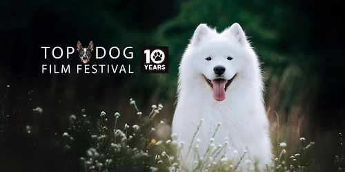Top Dog Film Festival 2026 - Dunedin Sun 16 August 2pm — 11 Moray Place, Central Dunedin, Dunedin 9016, New Zealand