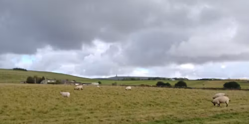 George and Clemmie's Farm