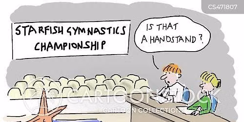 apparatus competition