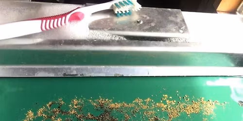 IGP Con\u2019s Party 2025