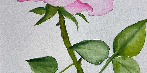 Glowing Rose Bud Watercolors