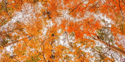 AUTUMN RESET - Movement, Breath and Live Music