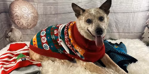 Ugly Sweater Lodging Party