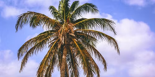 \ud83c\udf89 GRAND OPENING | The Flying Dutchman Aruba 