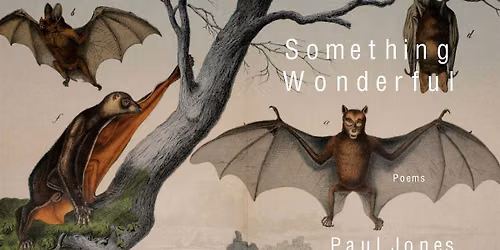Something Necessary: An Afternoon of Poetry