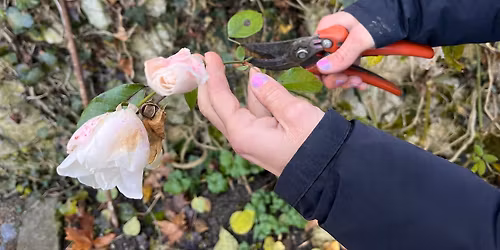 ST\u0158IHNI TO! \u2013 J\u00e1droviny a r\u016f\u017ee