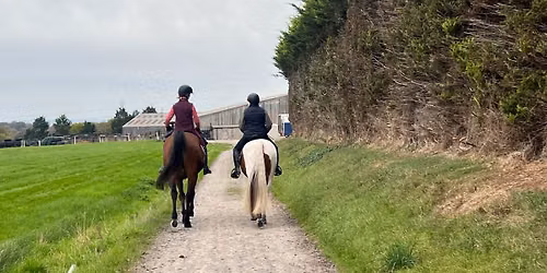 TDRC Autumn Mixed Camp