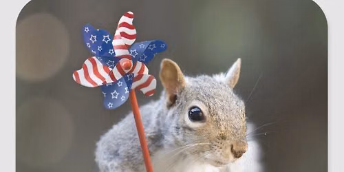 4th of July Parade