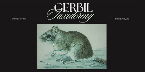 Gerbil Taxidermy Workshop