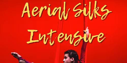 Aerial Silks Summer Intensive