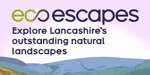 Welcoming Spring Walks \u2013 Browsholme (Festival Bowland 2026)