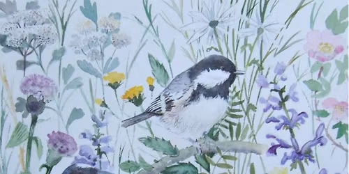 Ruth Lewis Watercolour Birds Workshop