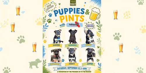 Puppies & Pints is Back at Taplands!