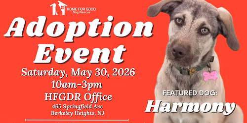 Adoption Event \u2014 Saturday, May 30, 2026 | Home For Good Dog Rescue Berkeley Heights