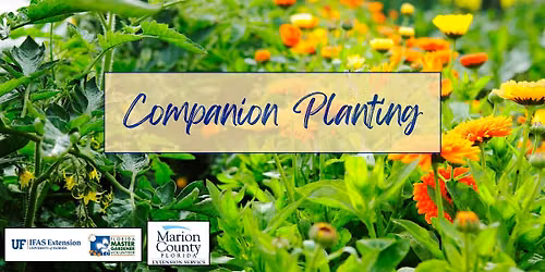 Companion Plantings