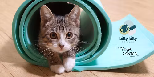 Kitty Yoga