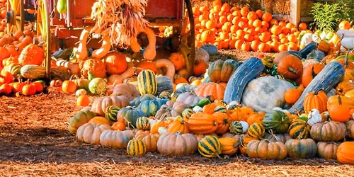 Farmdale church of Christ hallelujah harvest 