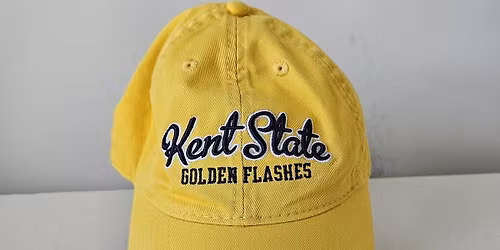 Kent State Golden Flashes at Tennessee Vols Baseball at Lindsey Nelson Stadium