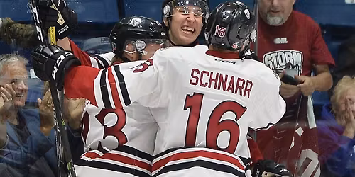 Sarnia Sting vs. Guelph Storm