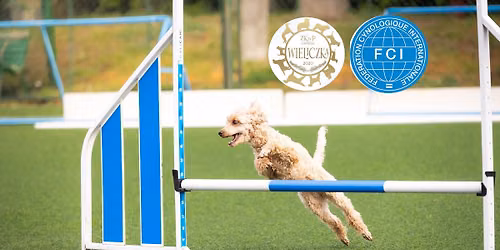 \ud83c\udfc6 ZAWODY AGILITY \u2013 21\u201322 LISTOPADA 2026 \ud83c\udfc6