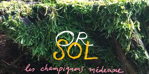 Formation "OR SOL, les champignons-m\u00e9decine".