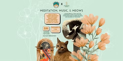 Meditation, Music, & Meows