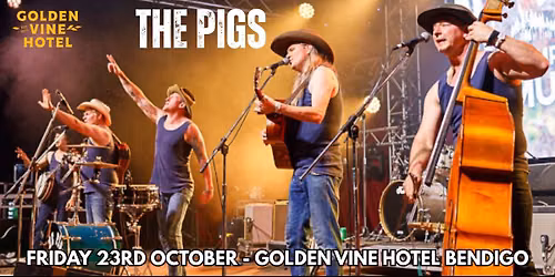 The Pigs Live at The Golden Vine Hotel Bendigo