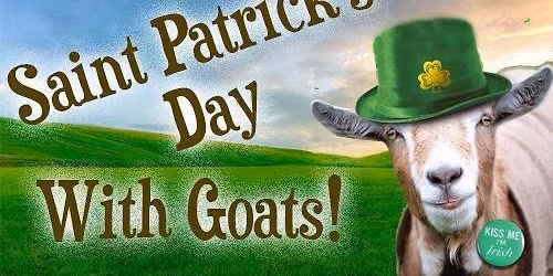 St. Paddy's Day @ Harp bar and Restaurant