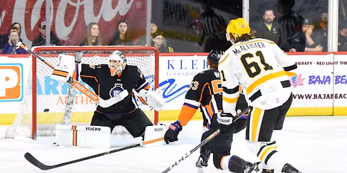 ECHL North Division Semifinals: Reading Royals vs. Wheeling Nailers - Home Game 2  Series Game 4