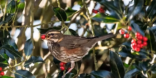 Costons December Open Day