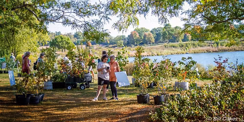 OAKtober Native Tree and Shrub Sale
